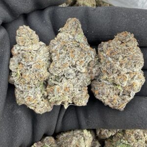 BLUE STARBUST