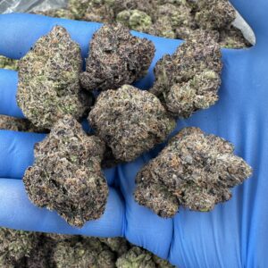 Gumbo Gelato Strain
