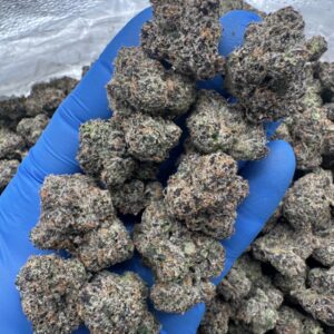 silky gelato strain