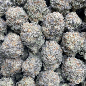 Miami White Strain